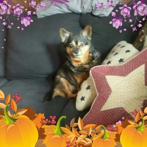 Meet your Posher, Nell n bo